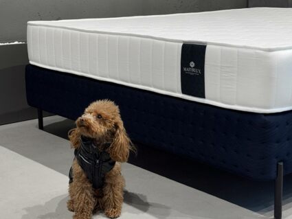 Матрас Materlux Vilamura Multi 90х185