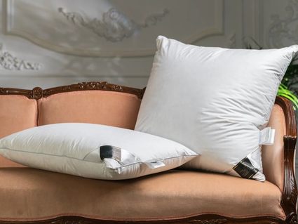 Подушка Trois Couronnes Royal Wild Duck Down Medium 386