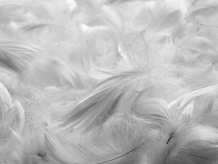 Подушка Nature’S-Natura Sanat Люкс 50х70