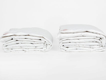 Одеяло German Grass Silver Down Grass всесезонное Light 140х205