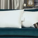 Подушка Trois Couronnes Princess Down Pillow 50х90